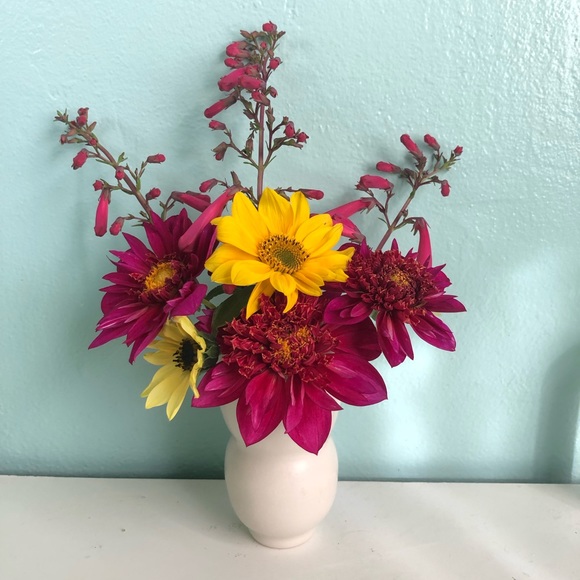 Meet your Posher, Lindsey - Picture 2 of 2